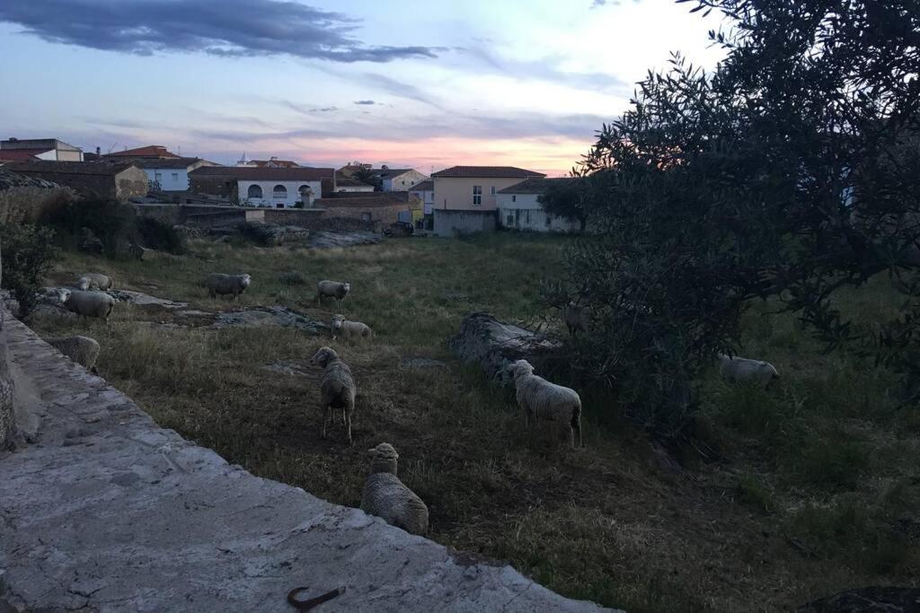 Casa - Apartamento Rural La Tahona Del Abuelo Plasenzuela Eksteriør bilde