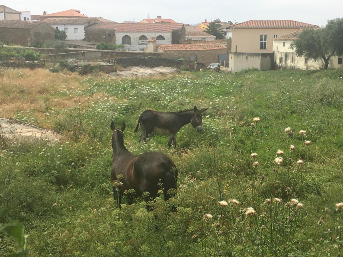 Casa - Apartamento Rural La Tahona Del Abuelo Plasenzuela Eksteriør bilde