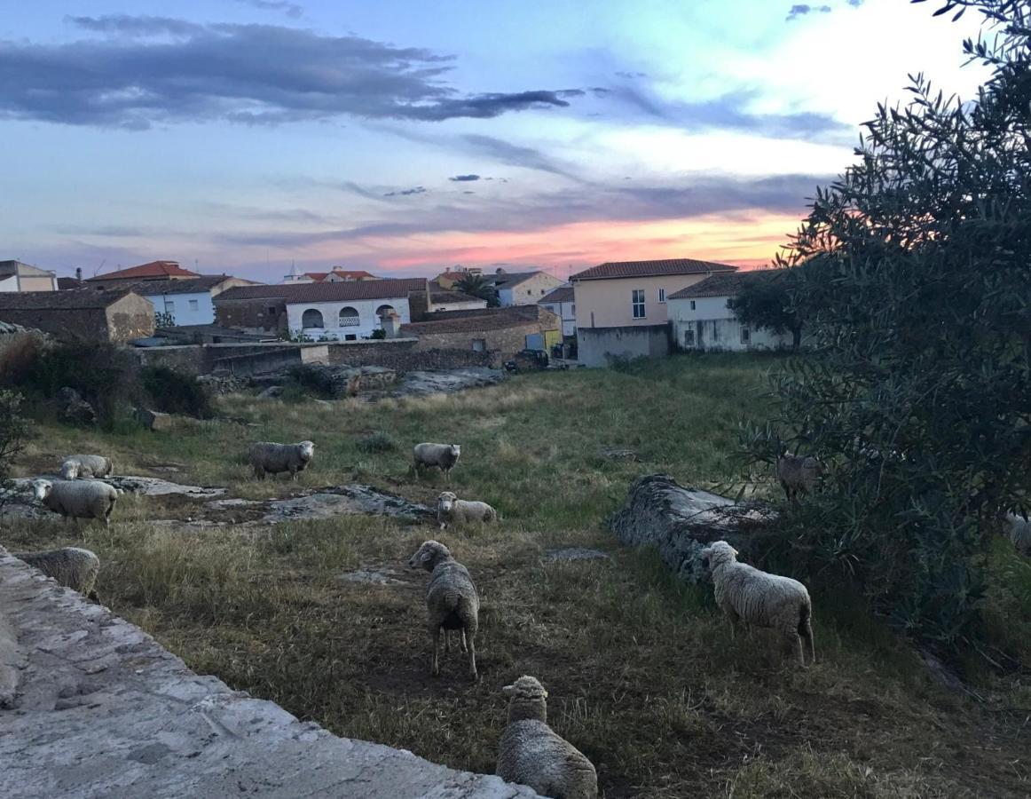 Casa - Apartamento Rural La Tahona Del Abuelo Plasenzuela Eksteriør bilde
